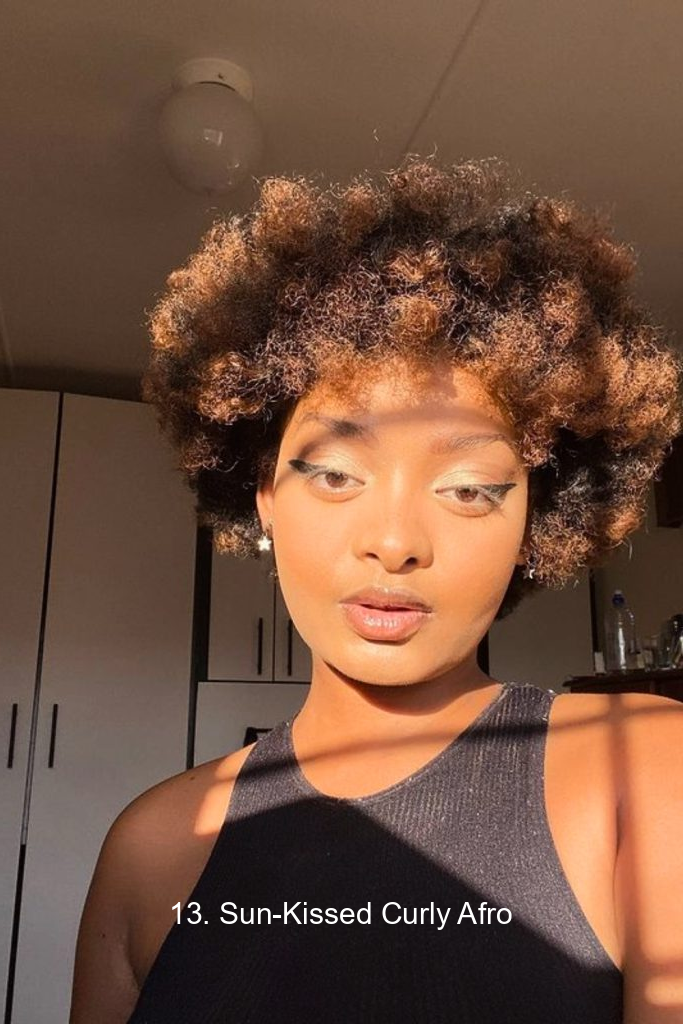 13. Sun-Kissed Curly Afro