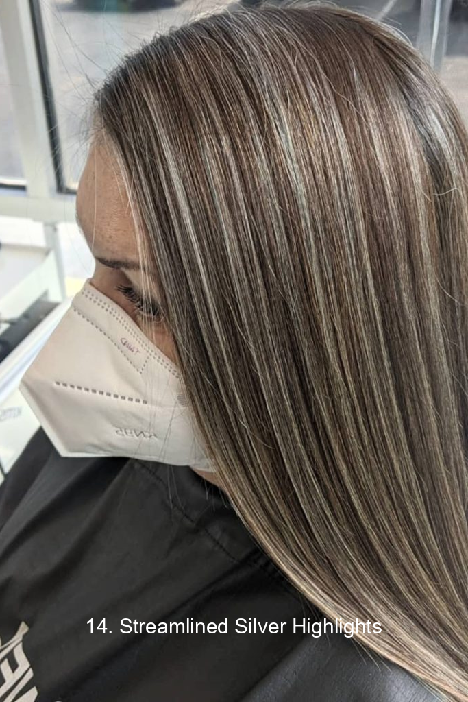 14. Streamlined Silver Highlights