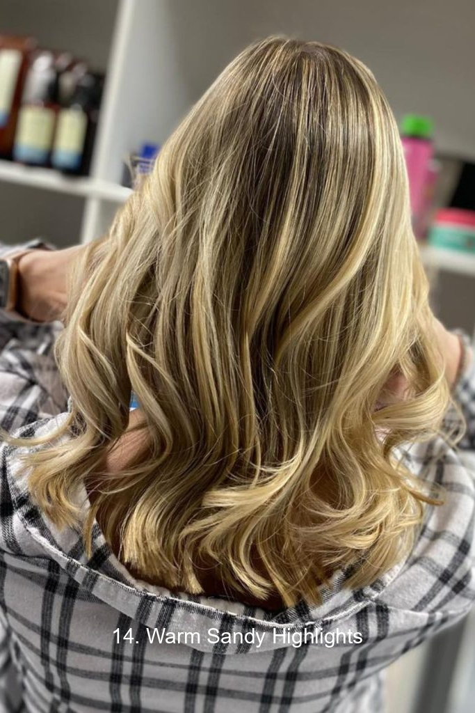 14. Warm Sandy Highlights