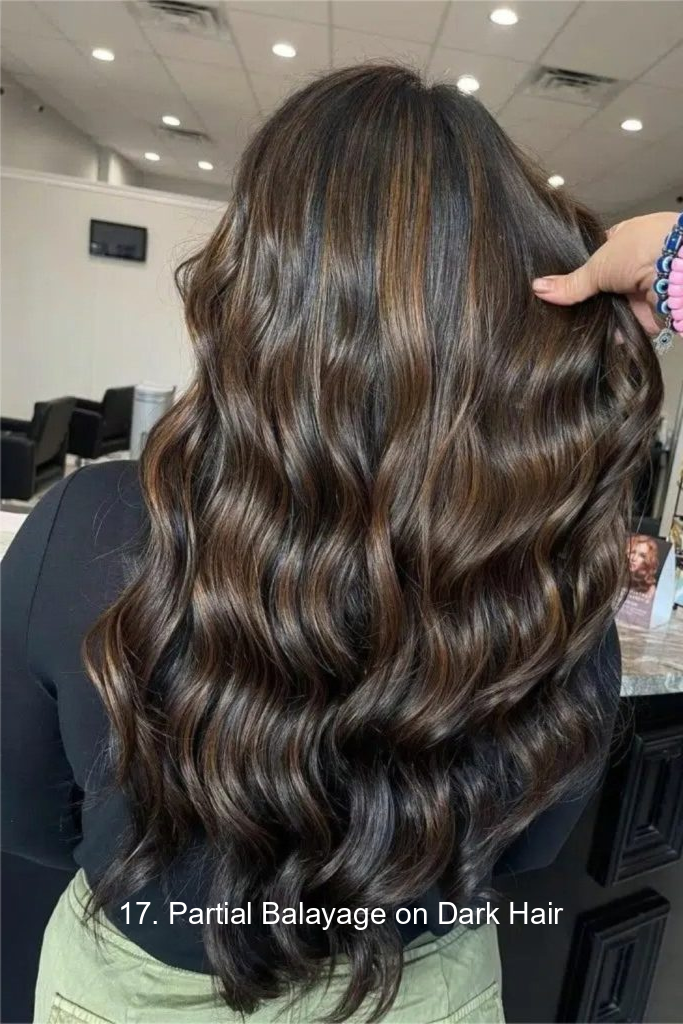 17. Partial Balayage on Dark Hair