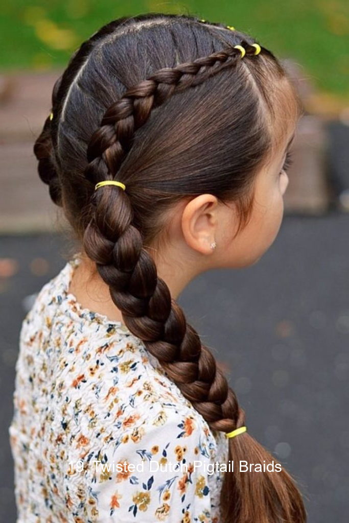 19. Twisted Dutch Pigtail Braids