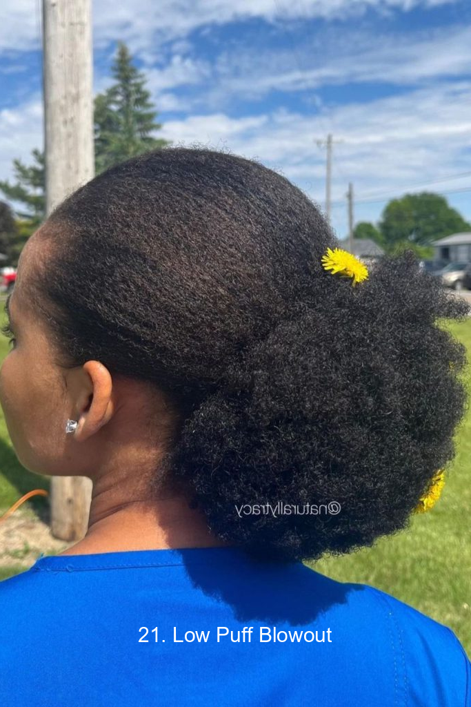 21. Low Puff Blowout