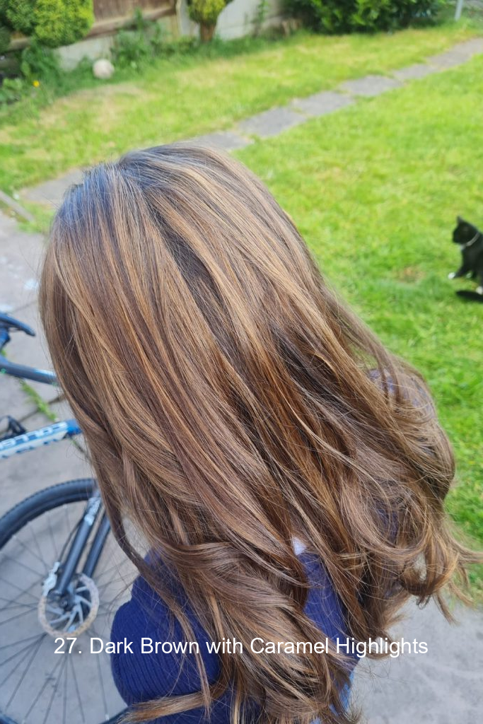 27. Dark Brown with Caramel Highlights