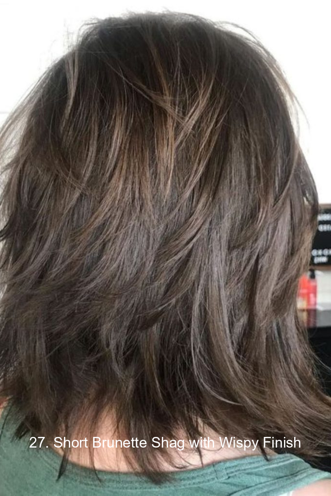 27. Short Brunette Shag with Wispy Finish