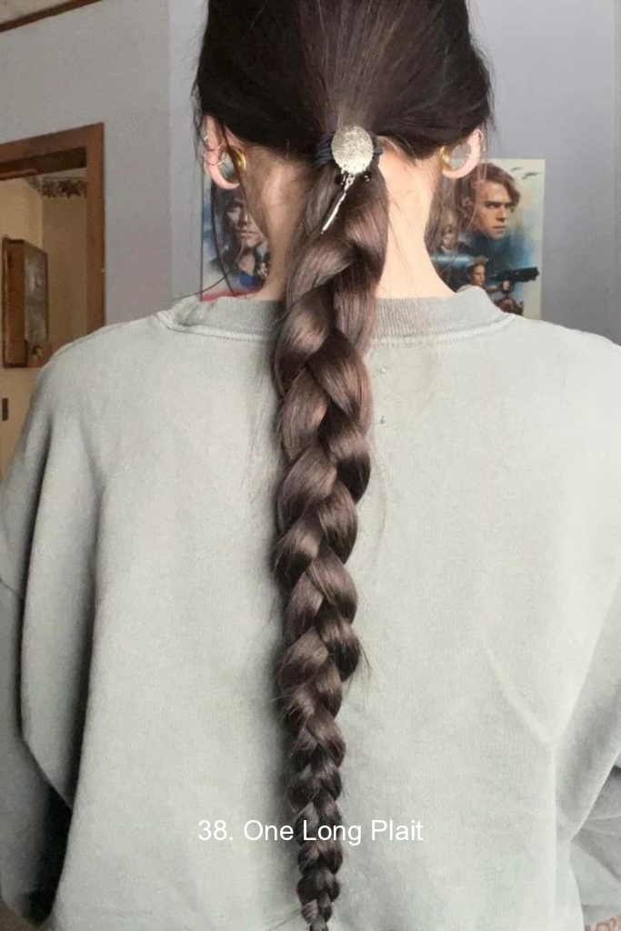 38. One Long Plait