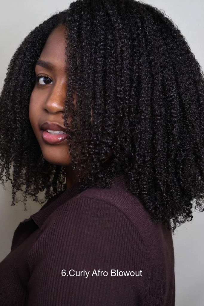 6.Curly Afro Blowout